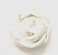 Daily Hijab - Creme